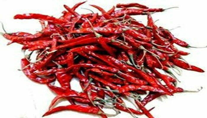 अच्छी फसल ने तीखी मिर्च को मीठी बना दिया भोपाल 1 Bhopal Mirchi