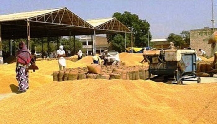 किसानों से समर्थन मूल्य पर गेहूँ की खरीदी 15 अप्रैल से 1 Gehu Kharidi