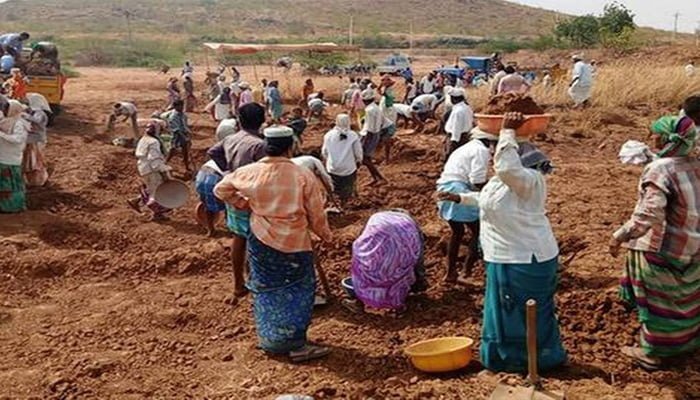 रायपुर : मनरेगा के तहत 145 करोड रूपये की 6500 कार्य स्वीकृत 1 Mgrenga