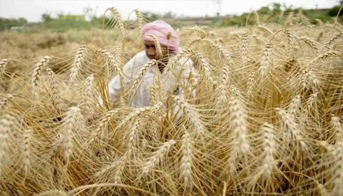 अल्पकालिक फसली ऋण की पुनर्भुगतान अवधि 31 मई 2020 तक बढ़ाई 1 Untitled 1