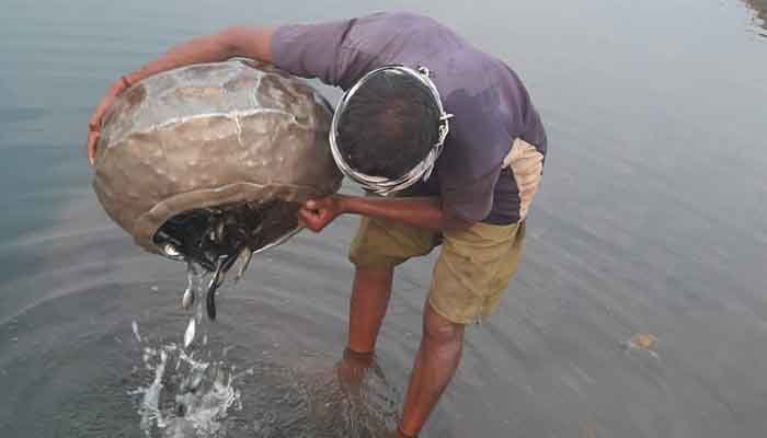बंद खदानों में भी केज कल्चर से होगा मछली पालन 1 fish