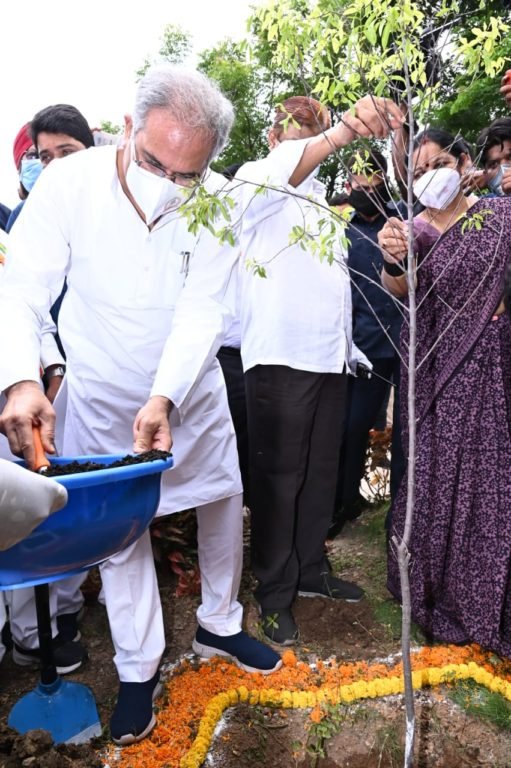 ऑक्सीजोन की राजधानी को मिली सौगात, यहां 4 हजार से अधिक पौधे 1 oxygen