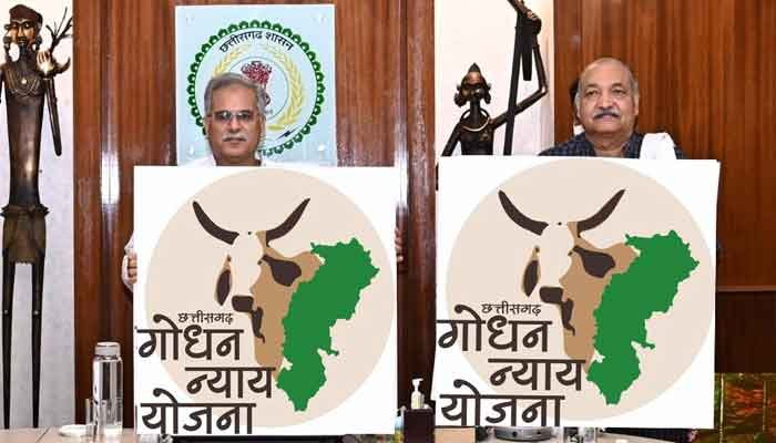 गोधन न्याय योजना में सबसे ज्यादा 13,195 क्विंटल गोबर की खरीदी 1 Godan-Nyaya-Yojana