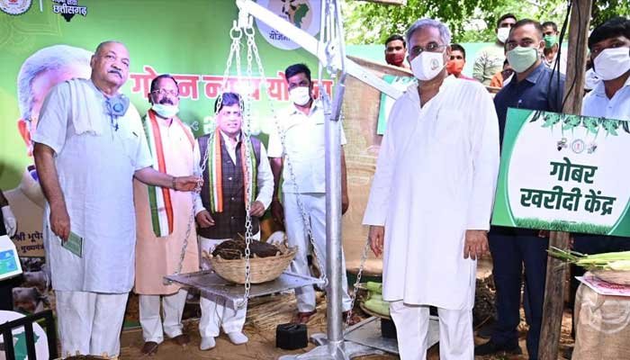 देश का पहला राज्य बना छत्तीसगढ़, जहां 2 रुपए किलो की दर से गोबर खरीदेगी सरकार 1 cow dung 1