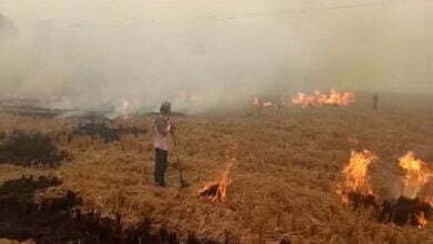 Photo of पराली की आग से खेत की खड़ी फसल जलकर खाक