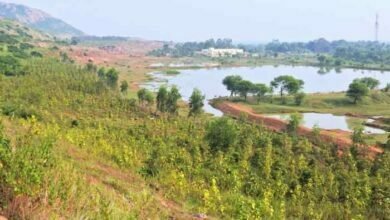 Photo of वन्य प्राणियों से ग्रामीणों की सराहनीय पहल