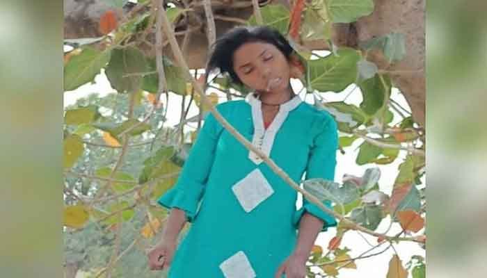 गौरेला-पेंड्रा-मरवाही जिले में पेड़ से लटका मिला किशोरी का शव, परिजनों ने किया पहचानने से ही इनकार 1 chhattisgarh