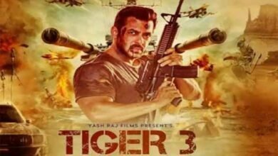 Photo of अपकमिंग एक्शन फिल्म ‘टाइगर 3’ के लिए पार्कर टेक्निक सीखेंगे सलमान खान