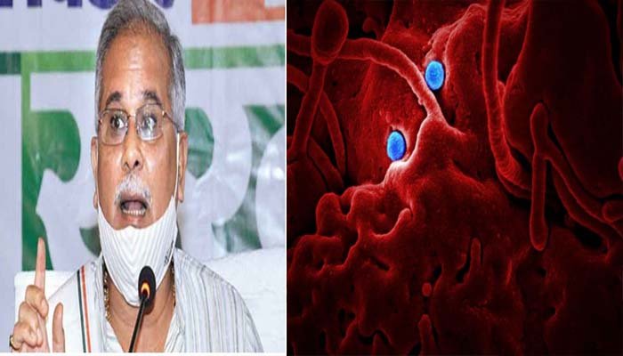छग के मुख्यमंत्री- कोराेना वायरस का दूसरा स्ट्रेन पहले से ज्यादा घातक 1 Chief Minister of Chhattisgarh