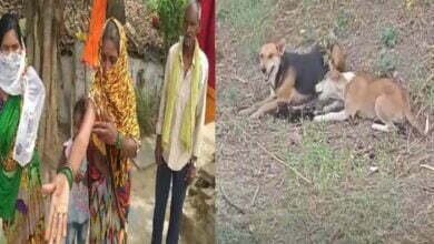 Photo of रायपुर में आधी जली हुई लाशों को खा रहे कुत्ते