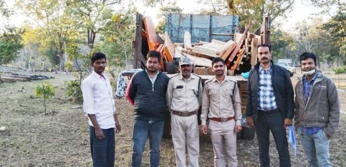 वन विभाग ने की कार्रवाई, लगभग 2 लाख रुपए के सागौन चिरान जब्त,आरोपी फरार 1 avni 25