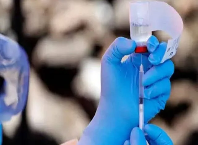 कोरिया जिले में कोरोना के संक्रमण से सुरक्षित करने के लिए 15 से 18 आयु वर्ग के 23000 से ज्यादा बच्चों को 3 दिनों में टीके लगाए गए 1 narmada mata 113