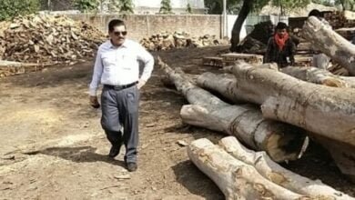 Photo of वनमंडल अधिकारियों ने आरामिलों का किया निरीक्षण अवैध लकड़ी जब्त