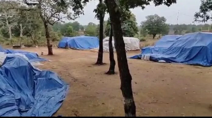 बिगड़े मौसम से जिले में धान खरीदी हुई बंद, दलहन, तिलहन और चने की फसल को हुआ नुकसान 1 narmada mata 2