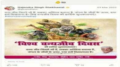 Photo of विश्व वन्यजीव दिवस पर जीव-जंतुओं के संरक्षण को लेकर दिग्गजों ने जताई अपनी प्रतिबद्धता