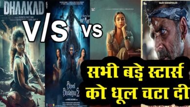 Photo of Bhool Bhulaia 2 का धमाल जारी, पहले वीकेंड में सबसे ज्यादा कमाई का रिकॉर्ड बनाया