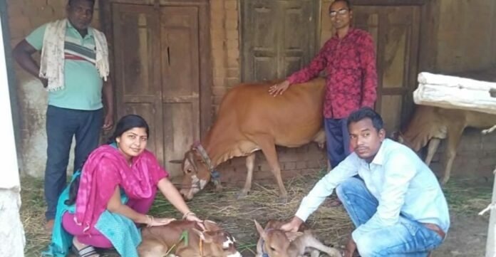 मगरलोड के ग्राम कपालफोड़ी में कृत्रिम गर्भाधान से गाय ने दिया जुड़वा बछड़ों की जन्म 1 The society of the sons of the region who spread the light of freedom by tearing apart the darkness of slavery will always be indebted. 14