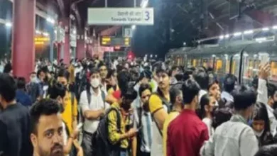 Photo of पक्षी की वजह से मेट्रो ब्लू लाइन में आई तकनीकी खराबी, DMRC ने जारी किया बयान