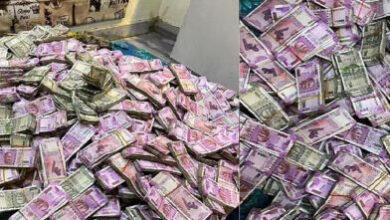 Photo of टीएमसी मंत्री की सहयोगी अर्पिता मुखर्जी के एक और घर से 29 करोड़ नकद, 5 किलो सोना मिला