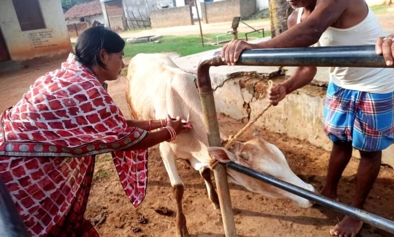 पशुपालन को आय संवृद्धि हेतु आधार बनाने जुटी हैं पशु सखियां 1 photo 70