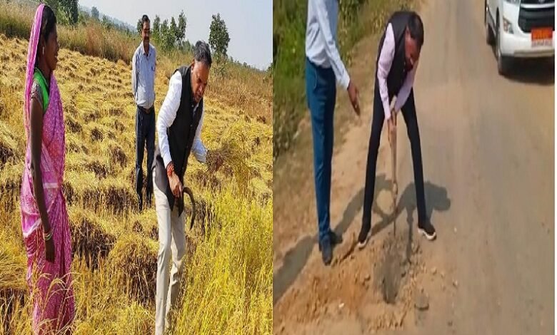 छग स्पेशल : सरपंच से बने कलेक्टर का अंदाज़ वायरल, खेत में खुद चलाया हल 1 99f1705d 771d 42b3 a3cb 145e7fc772ee