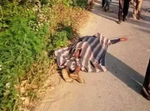 जगदलपुर-बीजापुर नेशनल हाईवे पर मिला अज्ञात युवक का शव,जांच में जुटी पलिस 1 2293261 untitled 77 copy
