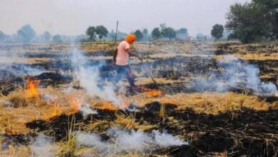 Photo of फसल अवशेष जलाना दण्डनीय अपराध