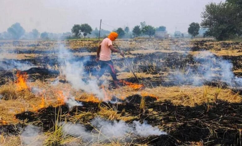 फसल अवशेष जलाना दण्डनीय अपराध 1 stubble sixteen nine