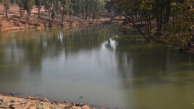 Photo of भूतइया नाला में पर्यटक जल्द उठा सकेंगे बोटिंग का लुत्फ