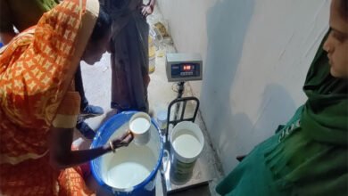 Photo of प्रगति स्व सहायता समूह की महिलाएं रीपा से जुड़कर हुई उद्यमी