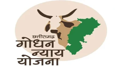 Photo of गोधन न्याय योजना की समीक्षा बैठक में हरहाल में कन्वर्जन बढ़ाने कलेक्टर ने दिए सख्त निर्देश