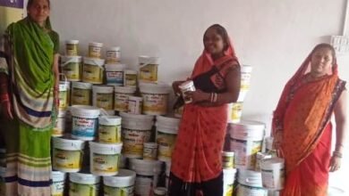 Photo of 8 खूबियों वाले गोबर पेंट का विक्रय कर महिला समूह बनी लखपति