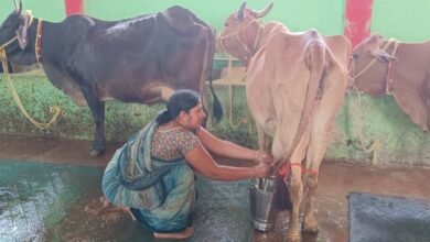 Photo of मालती यादव व समूह की महिलाओं के लिए डेयरी व्यवसाय बना लाभ का जरिया