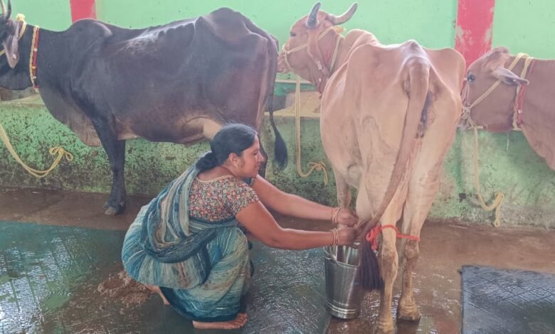 मालती यादव व समूह की महिलाओं के लिए डेयरी व्यवसाय बना लाभ का जरिया 1 1686483367 2c29d6b3228ccc4fe900