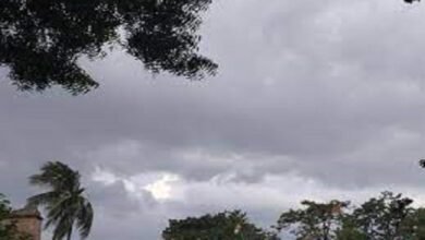 Photo of भीषण गर्मी के चलते, अब लोगों को मिली राहत : छग में झमाझम बारिश से मौसम हुआ सुहाना