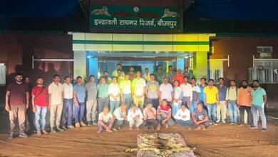Photo of बीजापुर के मद्देड़ बफर रेंज में बाघ के खाल के साथ 10 गिरफ्तार