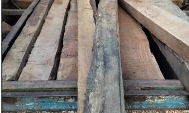 Photo of लगभग सवा लाख रूपए मूल्य के 114 नग सागौन चिरान जप्त