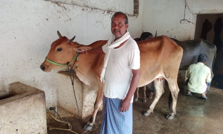 गोपालक शत्रुहन दूध व्यवसाय से बना एक सफल उद्यमी 1 1689322976 6c0b760febf40b5fdd4d