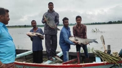 Photo of मत्स्य पालन से जुड़कर समिति के सदस्यों की आर्थिक स्थिति हो रही मजबूत.