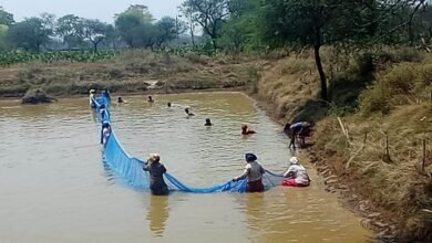 Photo of समूह की महिलाएं गौठानों में मछली पालन कर आत्मनिर्भर बन रही हैं.