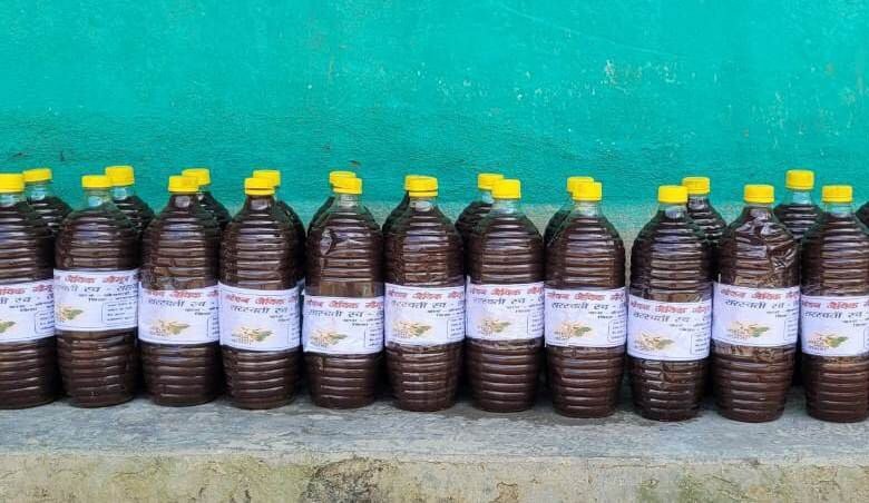 करलखा और कोचवाही के गौठान में गौमूत्र से हो रही है, फसलों की संजीवनी ब्रम्हास्त्र तैयार 1 1690379399 5838d31fd0d3dcf15eec