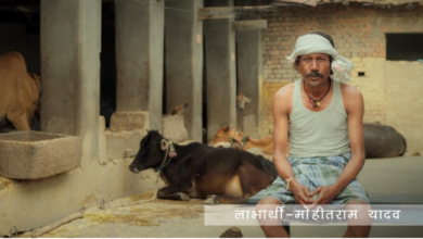 Photo of छत्तीसगढ़ में गोबर अब कचरा नहीं, बल्कि कमाई का जरिया बन गया हैं।