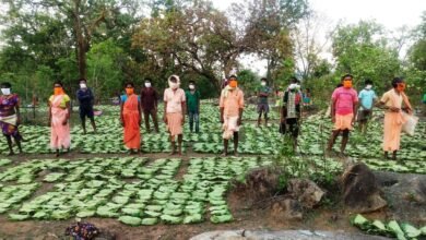 Photo of तेन्दूपत्ता संग्राहकों को मिली सामाजिक सुरक्षा – वन मंत्री अकबर