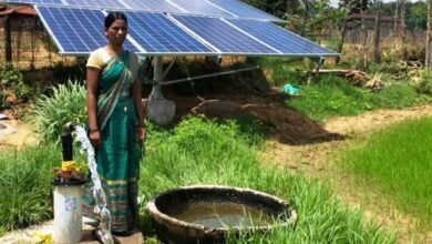 Photo of सौर सुजला योजना से किसानों के खेतों में लहलहा रही फसल