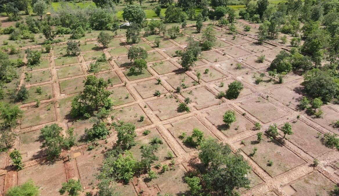 30-40 model is very beneficial in infertile and barren land - Forest Minister Akbar