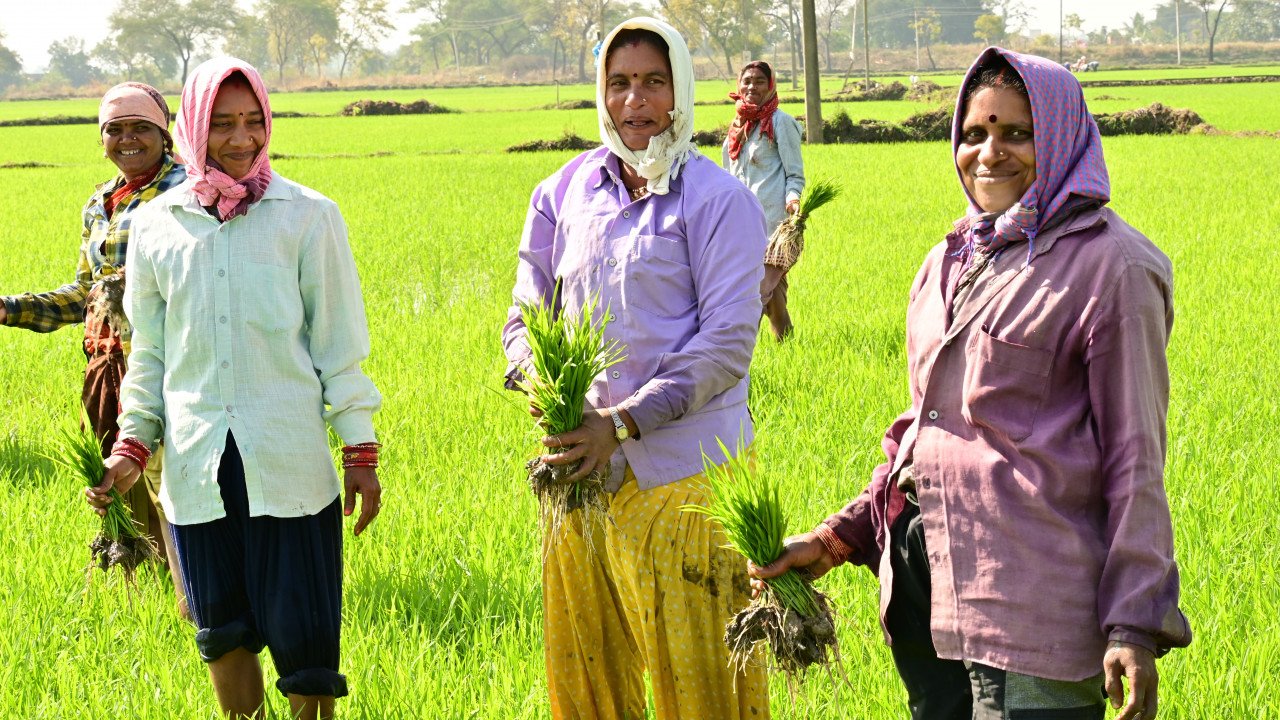 Farming is getting prosperous under Rajiv Gandhi Kisan Nyay Yojana