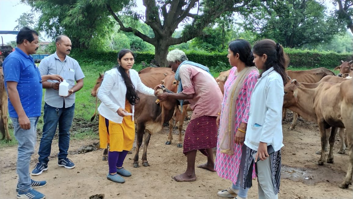 Treatment of animals done by mobile veterinary unit