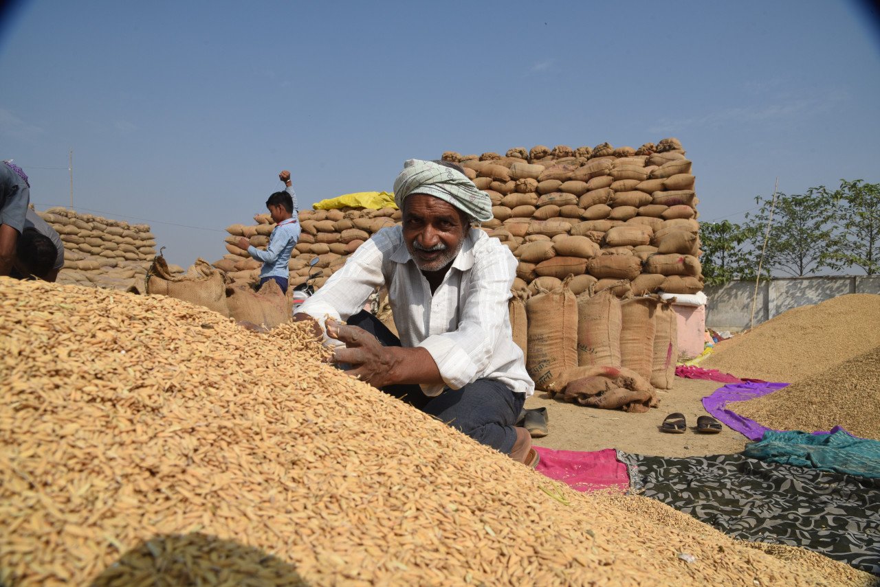 The thing on which the economy and social prosperity of Chhattisgarh depends the most are the paddy producing farmers.