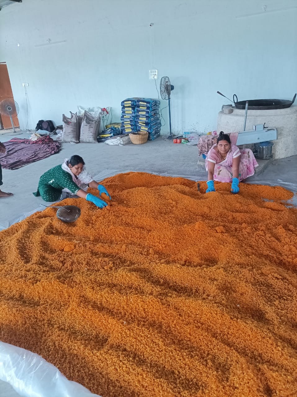 महात्मा गांधी रूलर इंडस्ट्रियल पार्क की मदद से ग्रामीण महिलाओं ने बनाई सफल उद्यमी की पहचान