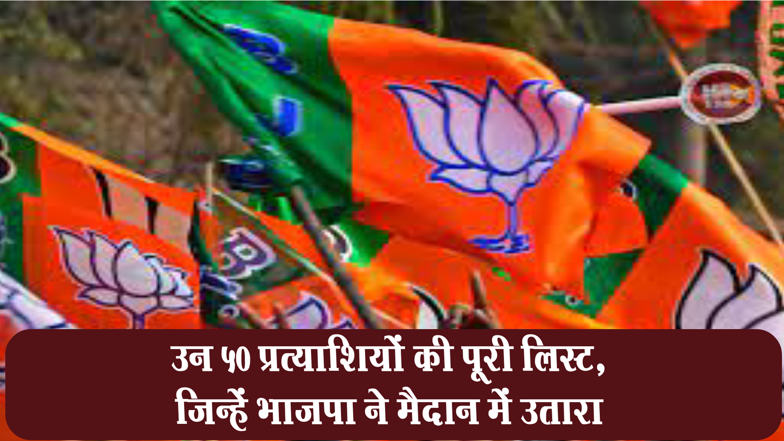 Complete list, of 50 candidates, whom BJP fielded,